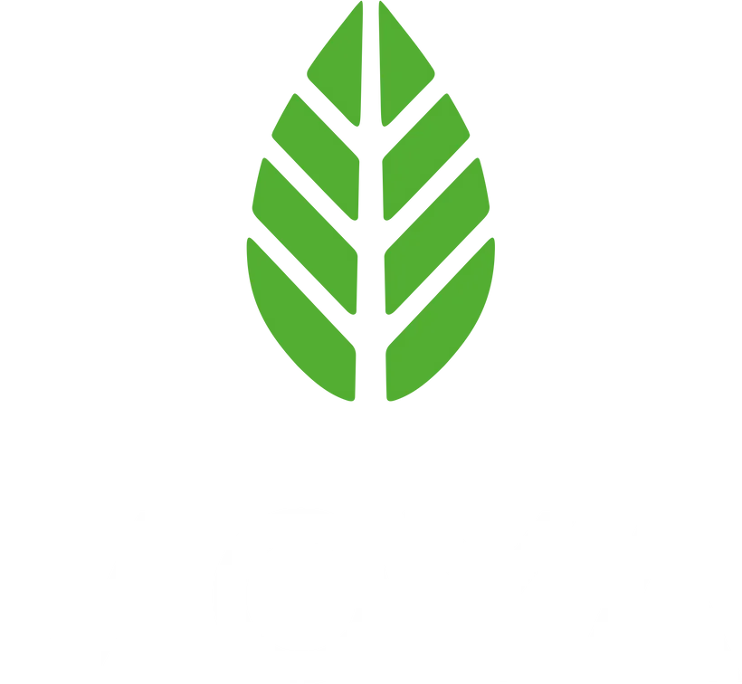 moyamatcha.fr